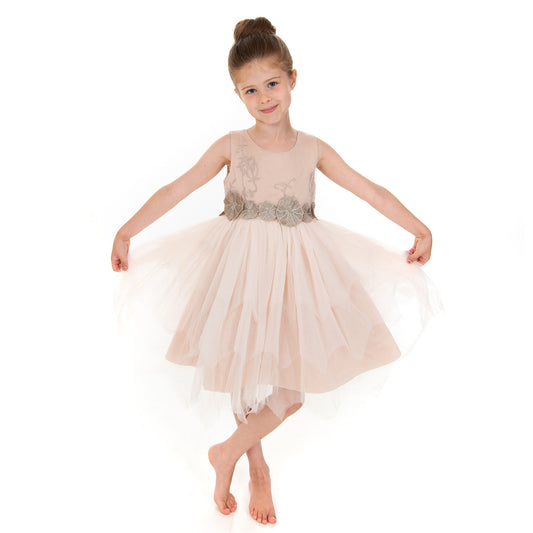 Pale Mauve and Pewter Dress