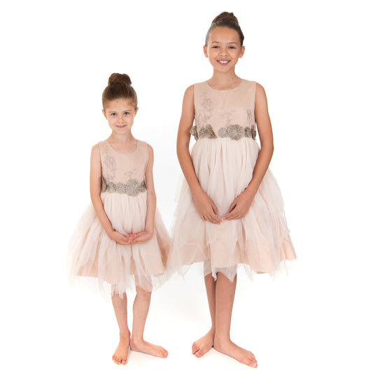 Pale Mauve and Pewter Dress